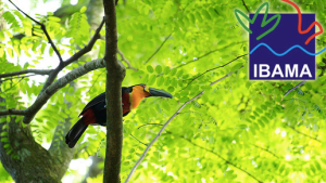 Captura de Tela 2015-08-26 às 22.19.11