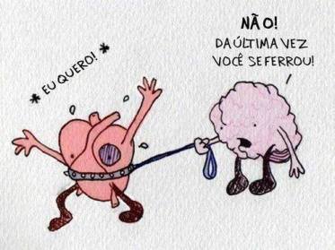 7964_540431506012873_724650853_n